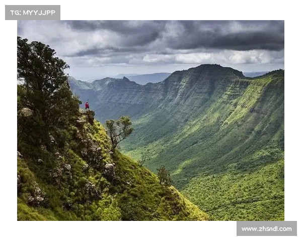 揭开北美洲杯赛的历史面纱 探索其背后不为人知的故事与传奇