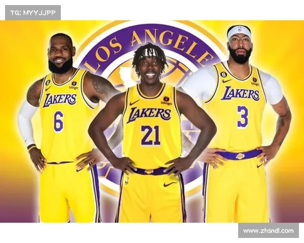 布朗深度解析霍勒迪交易五大关键点及其影响