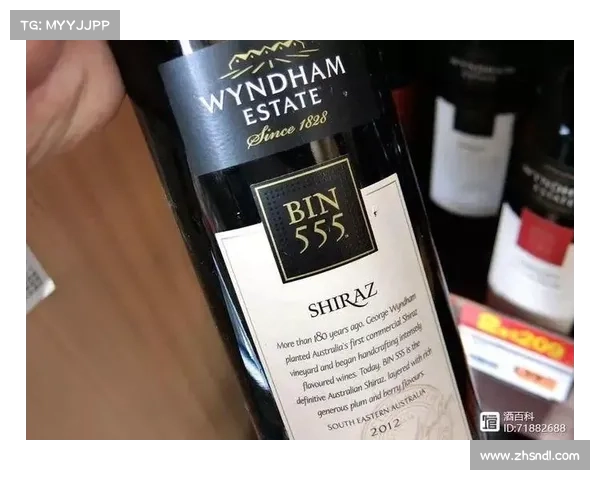 帕克与法国篮球的深厚渊源及其对法国篮球崛起的推动作用